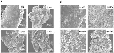 Effects of High-Pressure Homogenization on Pectin Structure and Cloud Stability of Not-From-Concentrate Orange Juice